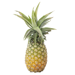 Dứa / Thơm 1 trái chính hãng | Siêu Thị GO!– Thực phẩm giá tốt