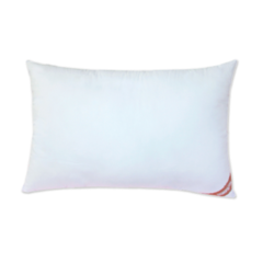 Ruột gối ép hơi 50 x 70cm chính hãng