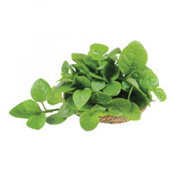 Mồng tơi con 250g VietGAP chính hãng | Siêu Thị GO!– Thực phẩm giá tốt