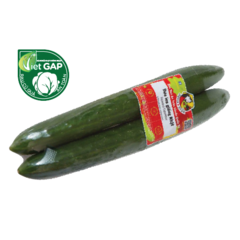 Dưa leo giống Nhật 600g chính hãng | Siêu Thị GO!– Thực phẩm giá tốt