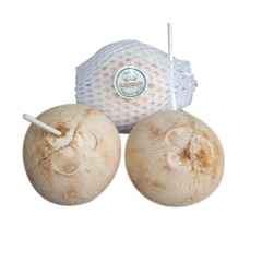 Dừa tiện lợi 1 trái chính hãng