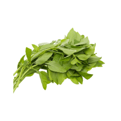 Rau húng cây 50g chính hãng | Siêu Thị GO!– Thực phẩm giá tốt
