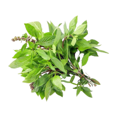 Rau quế 100g chính hãng | Siêu Thị GO!– Thực phẩm giá tốt