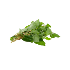 Rau diếp cá 100g chính hãng | Siêu Thị GO!– Thực phẩm giá tốt