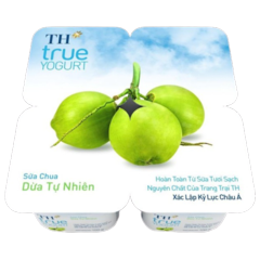Lô 4 hộp sữa chua dừa tự nhiên TH True 100g chính hãng | Siêu Thị GO!– Thực phẩm giá tốt