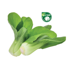 Cải thìa  250g chính hãng | Siêu Thị GO!– Thực phẩm giá tốt