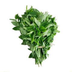 Rau ngót  250g chính hãng | Siêu Thị GO!– Thực phẩm giá tốt