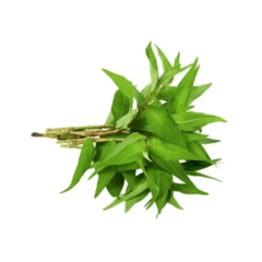 Rau răm 50g chính hãng | Siêu Thị GO!– Thực phẩm giá tốt