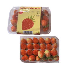 Dâu tây giống Nhật size S 200g chính hãng | Siêu Thị GO!– Thực phẩm giá tốt