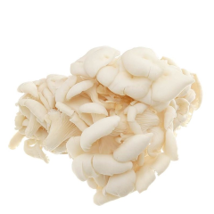 Nấm bào ngư trắng 200g chính hãng | Siêu Thị GO!– Thực phẩm giá tốt