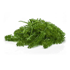 Rong nho tươi tách nước 50g chính hãng