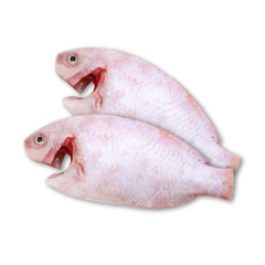 Cá diêu hồng làm sạch 400g-500g chính hãng