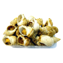 Ốc bulot Ireland 500g size 20-30 con/kg chính hãng | Siêu Thị GO!– Thực phẩm giá tốt