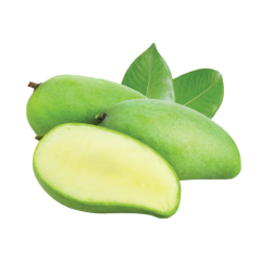 Xoài dài giống Đài Loan (1.3-1.5kg) chính hãng | Siêu Thị GO!– Thực phẩm giá tốt