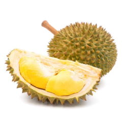 Sầu riêng Ri 6 - trái 2.5 -2.7kg chính hãng | Siêu Thị GO!– Thực phẩm giá tốt