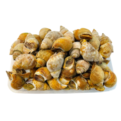 Ốc hương Ấn Độ đông lạnh 500g size 50-80 con/kg chính hãng | Siêu Thị GO!– Thực phẩm giá tốt