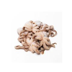 Bạch tuộc nhỏ 300g chính hãng | Siêu Thị GO!– Thực phẩm giá tốt