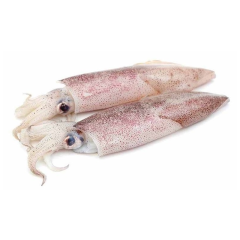 Mực ống 300g (size 20-30 con/kg) chính hãng | Siêu Thị GO!– Thực phẩm giá tốt