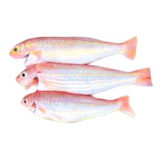 Cá đổng 500g chính hãng | Siêu Thị GO!– Thực phẩm giá tốt