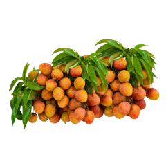 Vải thiều Lục Ngạn 3kg chính hãng | Siêu Thị GO!– Thực phẩm giá tốt