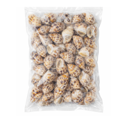 Ốc hương quế Ấn Độ đông lạnh (size 30-50con/kg) 500g chính hãng | Siêu Thị GO!– Thực phẩm giá tốt