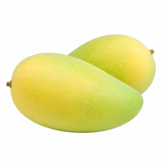 Xoài cát Hòa Lộc VietGAP 1-1.2kg chính hãng | Siêu Thị GO!– Thực phẩm giá tốt